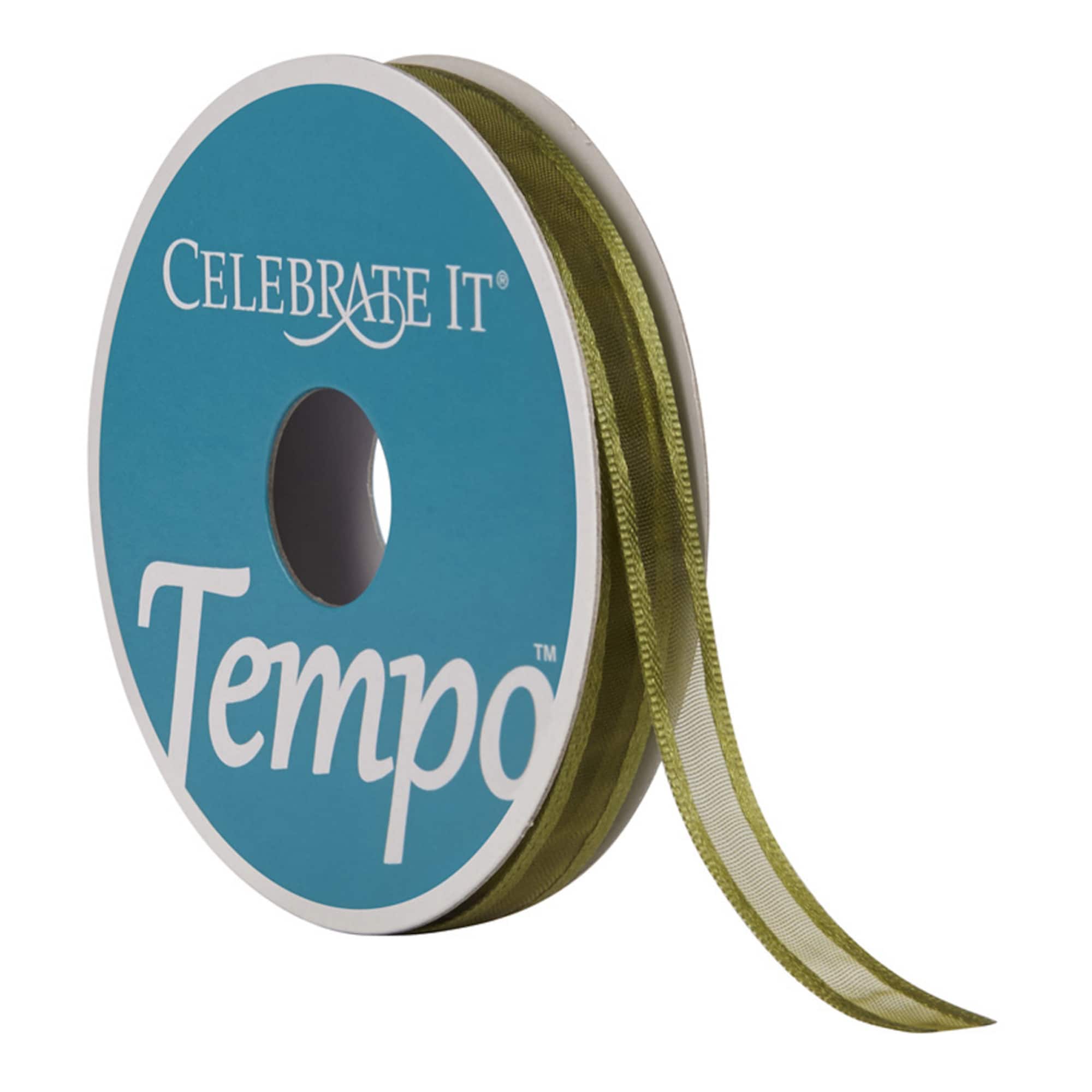 18 Pack: 3/8" Sheer Ribbon by Celebrate It® Tempo™